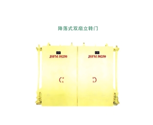 福建降落式双扇立转门